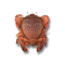QLD Spanner Crab 2025/2026