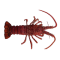 500kg (5 units) TAS Rock Lobster 2026/2027 quota lease