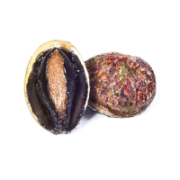 New South Wales Abalone